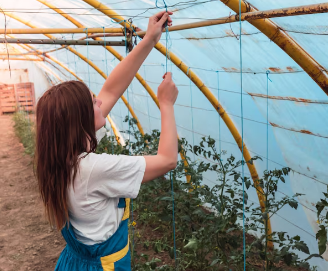 Зимняя эксплуатация тепличного оборудования: Консервация насосов, защита шлангов и опрыскивателей от замерзания, подготовка к новому сезону