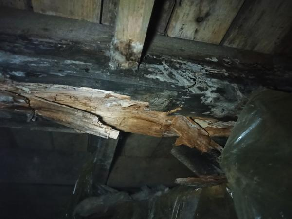 Бабушка красила полы в коричневый цвет каждую весну. Я думал &mdash; традиция. Оказалось, наши предки были хитрее, чем мы думаем