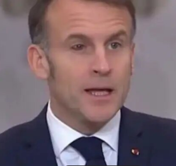 Исторические напёрстки: Из дневника наблюдений политического биолога