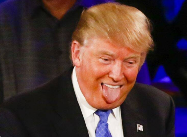 Исторические напёрстки: Из дневника наблюдений политического биолога