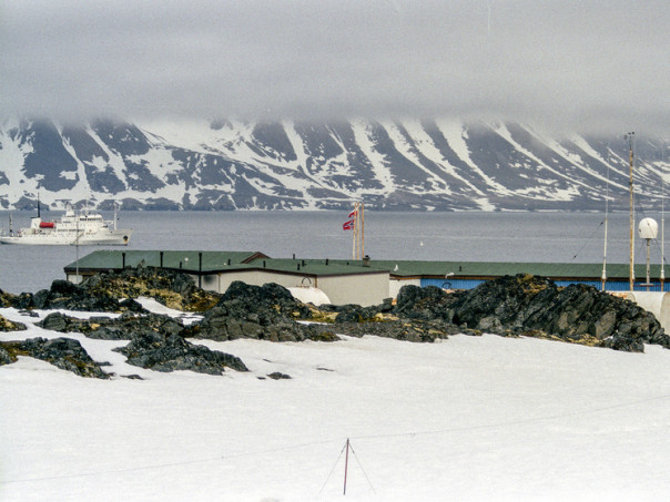 &laquo;Мы вас убьём&raquo;: в США предупредили Евросоюз из-за Гренландии