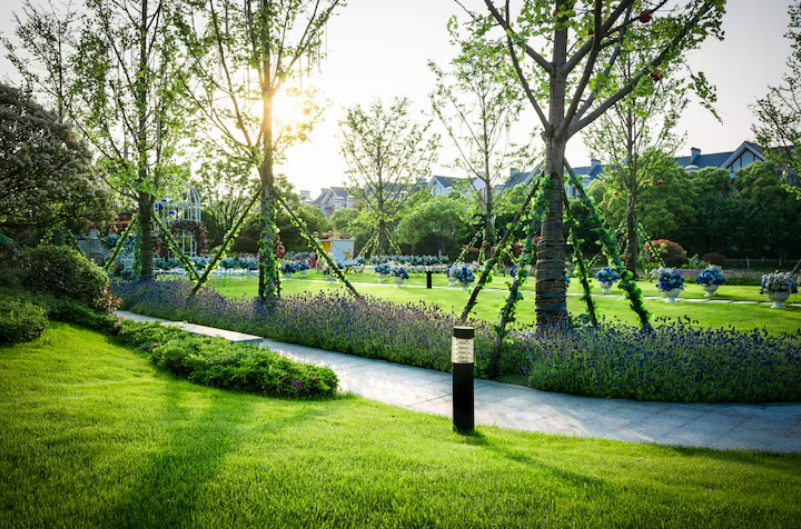 Основные этапы благоустройства участка