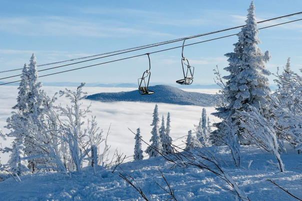 Татьянин день 25 января: дата, история праздника и главные традиции