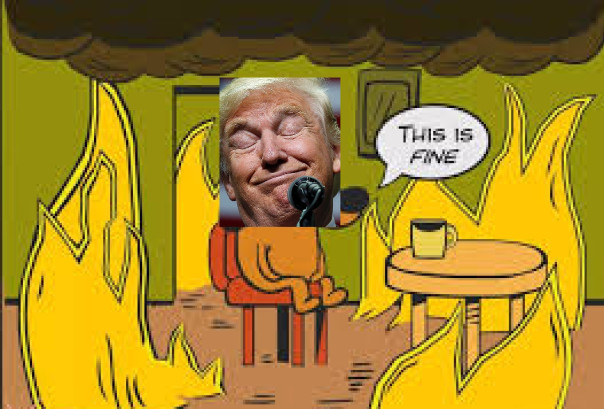 У Донни всё получается(с). Александр Роджерс