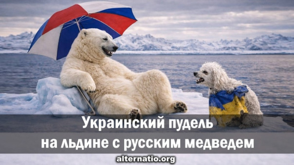 Украинский пудель на льдине с русским медведем
