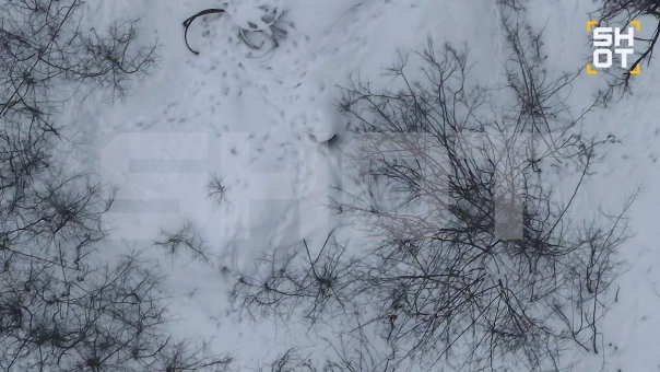 ВС РФ по следам на снегу выявили и уничтожили группу из 20 солдат ВСУ под Купянском