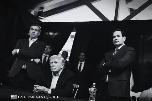 Закон джунглей