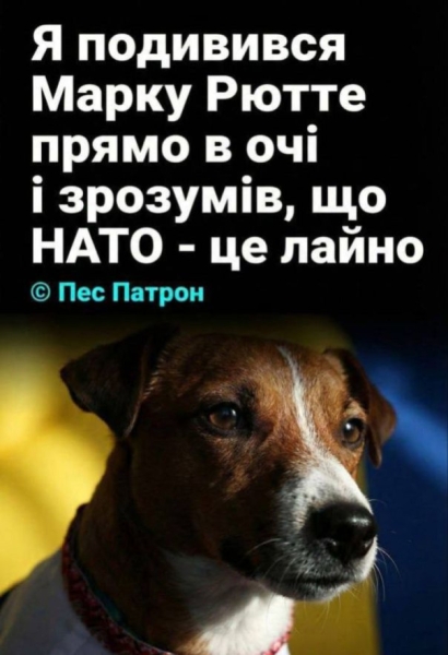 Генсек НАТО Рютте рассказал на конференции по безопасности историю о своей недавней беседе с украинской собакой.