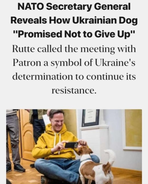 Генсек НАТО Рютте рассказал на конференции по безопасности историю о своей недавней беседе с украинской собакой.