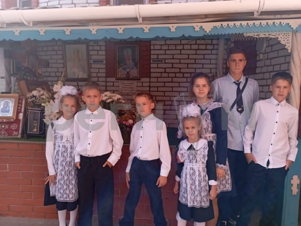 Матери 15 детей из Томска не дали звание «Мать‑героиня» из‑за штрафа ГИБДД