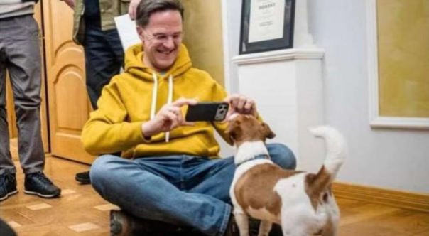 Пёс Патрон порвал повестку: генсек НАТО заменил геополитику собачьими нежностями