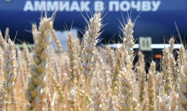 Запасной план провалился: ЕС не смог отказаться от российских удобрений