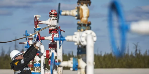 Запрет на импорт российского газа: оставил ли ЕС лазейку для поставок через США