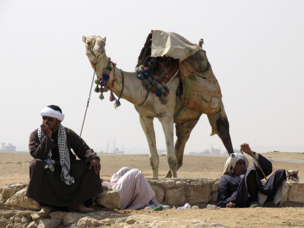 Россиянам в ОАЭ предложили вывоз на верблюдах: война поделила всех на богатых и бедных