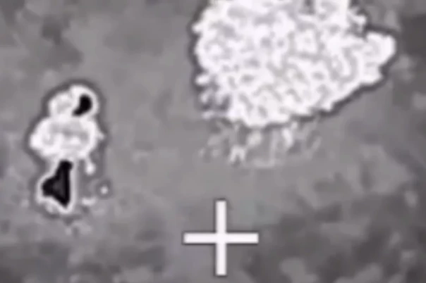 Траур в СБУ и НАТО: сына генерала и офицеров накрыла супербомба у Харькова