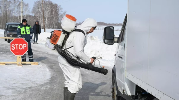 В Новосибирской области завершили изъятие скота в крупных хозяйствах