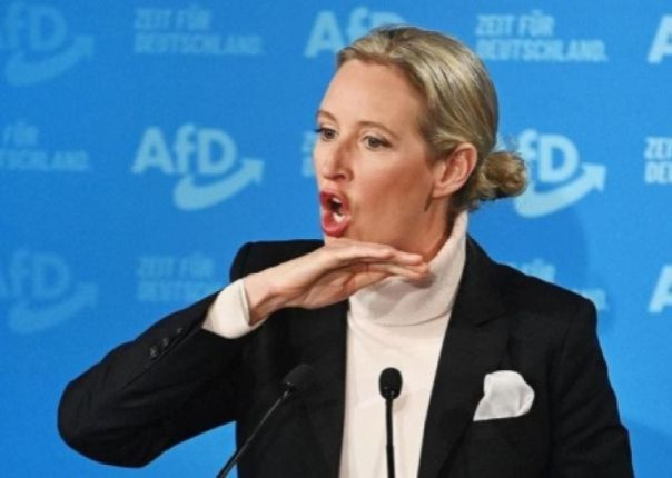 &laquo;Альтернатива для Германии&raquo; создаёт спецгруппу по борьбе с санкциями против России и других стран