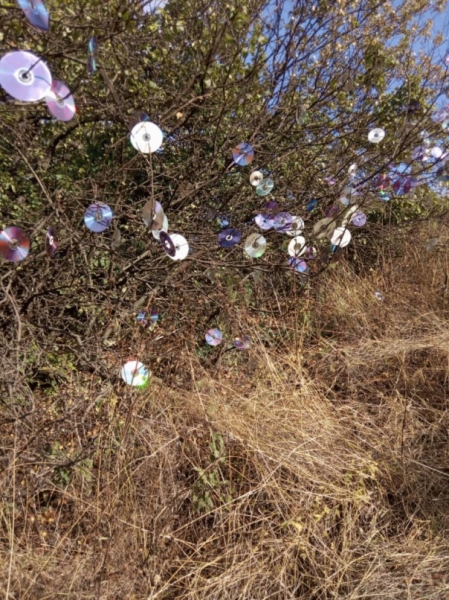 Бандеровско-патриотическое возбуждение