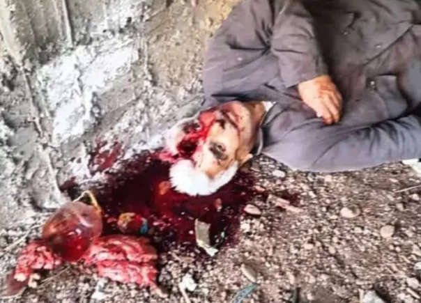 Геноцид в Сирии, как точка невозврата (21+)