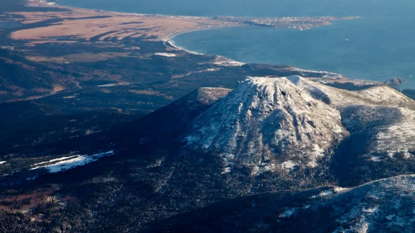 Глава Сахалина заявил о планах датской фирмы арендовать остров на Курилах