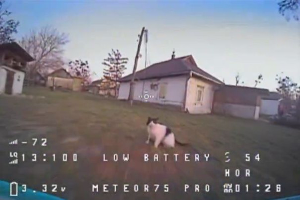 Я вам не &laquo;кiт&raquo;! - кот cбил лапой украинский fpv-дрон.