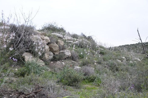 Компания Polaris Solutions и новая маскировка для солдат АОИ