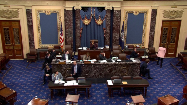 Конгрессмены США угрожают Грузии санкциями за принятие закона об иноагентах