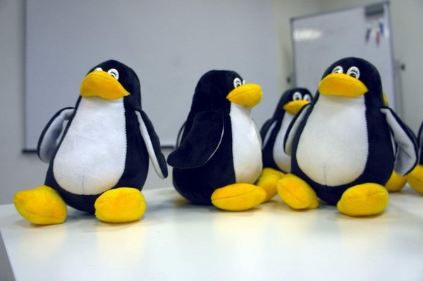 Linux перестанет работать на ПК со старыми жесткими дисками