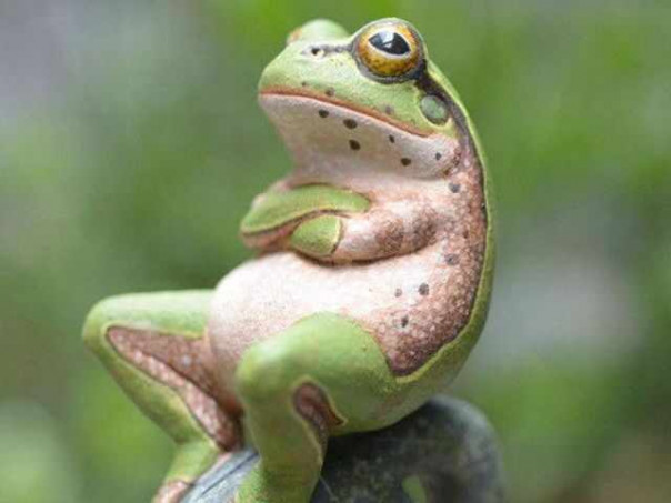 Литовско-белорусское единство и тотемное животное Речи Посполитой | По ситуации в Литве пора собирать Совбез ООН