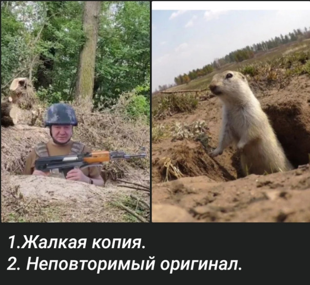 "Мыздобулы" в картинках. Смешных и не очень... 19.08.2023