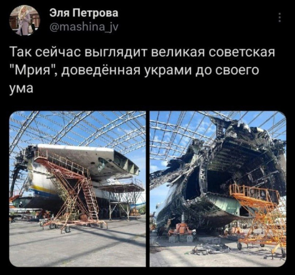 "Мыздобулы" в картинках. Смешных и не очень... 19.08.2023