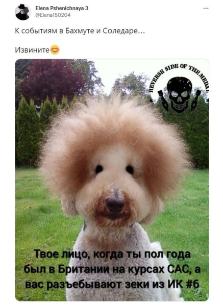 "Мыздобулы" в картинках. Смешных и не очень... 22.01.2023