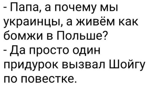"Мыздобулы" в картинках. ... Смешных и не очень. 24.07.2022