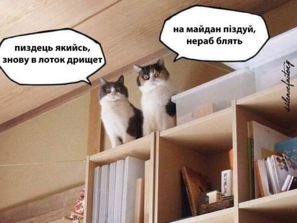 "Мыздобулы" в картинках. Смешных и не очень...08.02.2026