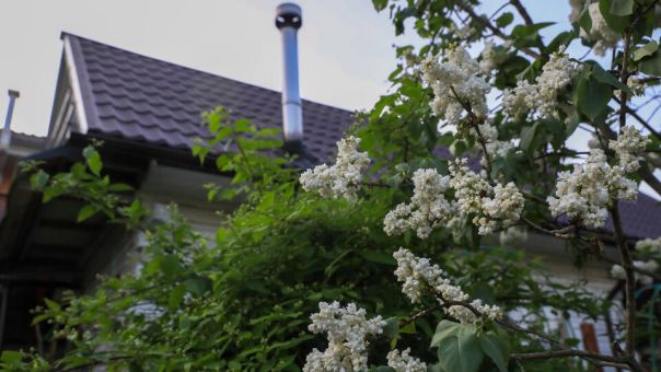 Неосвоенные участки могут изъять: что это значит