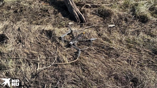Освобождение Курской области пошло так лихо, что наших штурмовиков приходится притормаживать. Враг-то еще огрызается