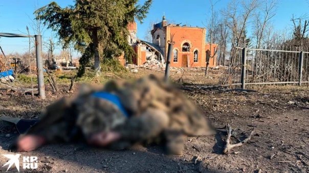 Освобождение Курской области пошло так лихо, что наших штурмовиков приходится притормаживать. Враг-то еще огрызается