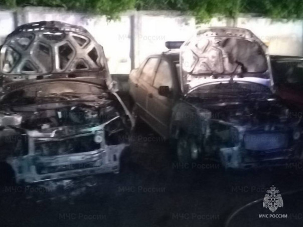 По указанию украинских мошенников учительница в декрете подожгла пять машин Росгвардии в Калуге.