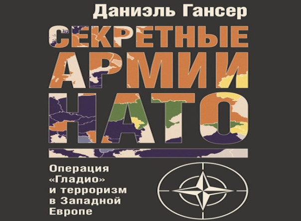 Подрывной опыт прошлых десятилетий используется Францией в Африке с использованием боевиков киевского режима