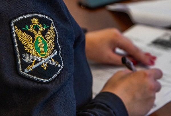 Судебным приставам дадут доступ к данным должников через ГИС и сотовых операторов