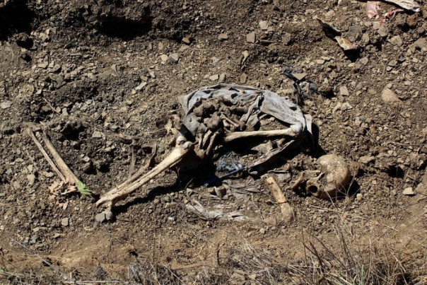 Сводка от НМ ЛНР 09.09.2021. Укрофашисты 9 раз за сутки нарушили "режим тишины". Спецгруппа нашла останки еще 15 жертв агрессии ВФУ в захоронении в Первомайске