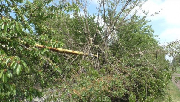 Сводка от УНМ ДНР 25.05.2021. Бывшего ополченца приговорили к 10 годам за шпионаж. Погиб мирный жителя на западе Донецка, повреждено пять домов