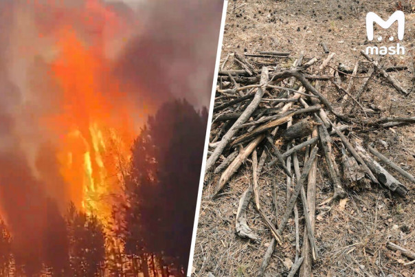 Украинских агентов заподозрили в поджогах леса в Забайкалье