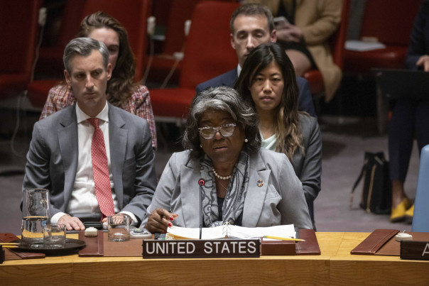 В целях саморекламы: как западные страны продолжают призывать к исключению России из Совета Безопасности ООН