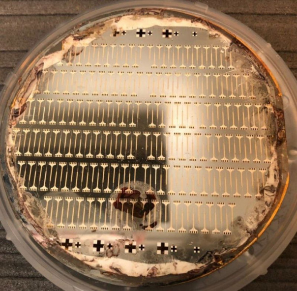 В США усовершенствовали технологию создания солдат-киборгов