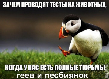 Весёлые картинки # 91