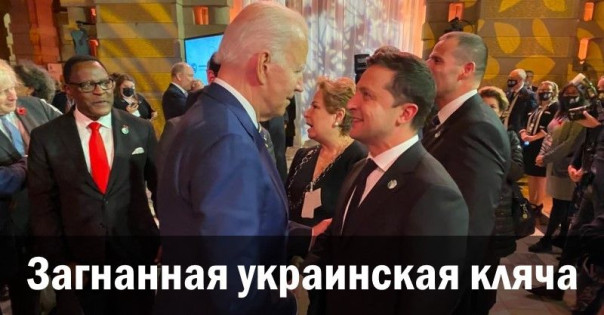 Загнанная украинская кляча